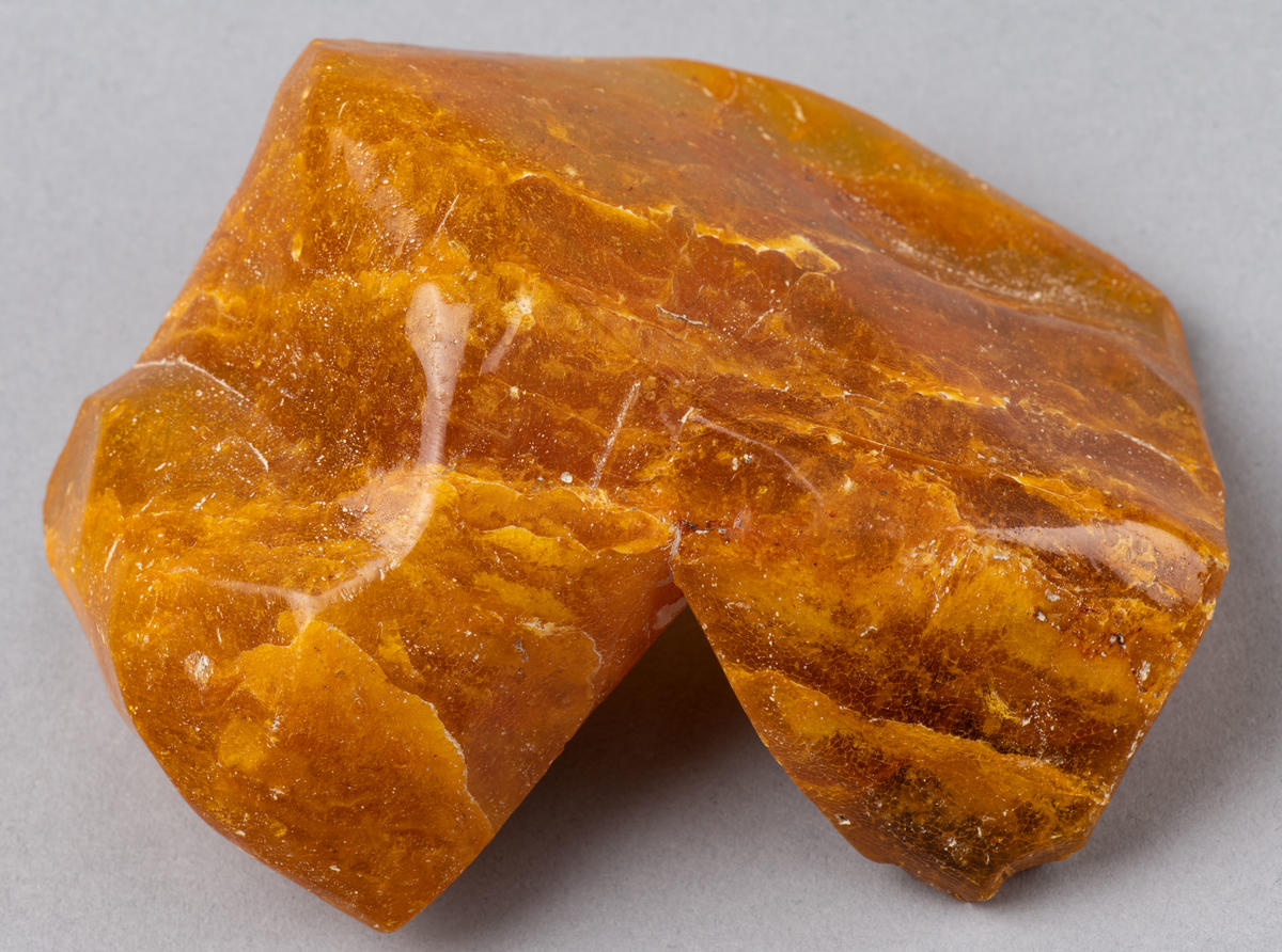 Houston Kauri Gum Collection Te Ahu Museum